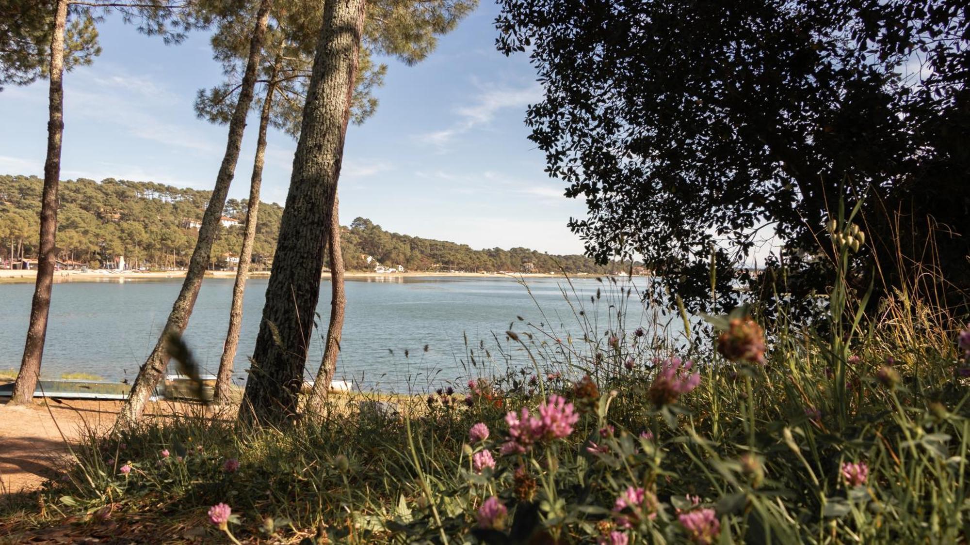 Résidence Hôtelière les Acanthes Soorts-Hossegor Esterno foto